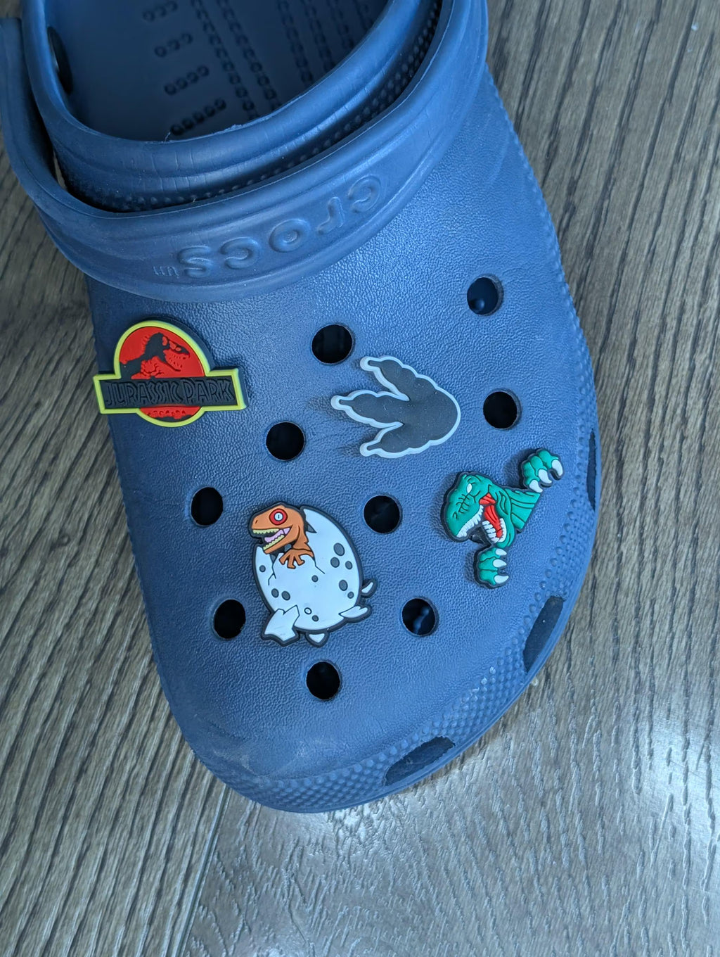 Dino shoe charms